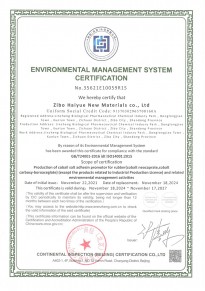 環(huán)境管理體系認(rèn)證證書-英文